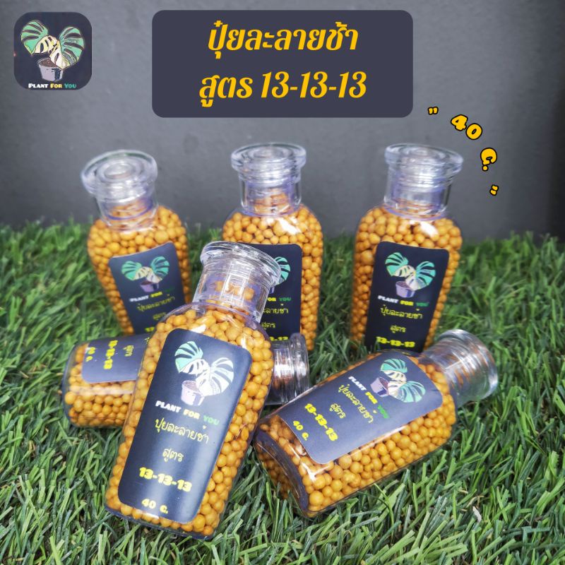 ปุ๋ยเม็ดออสโมโค้ท สูตร 13-13-13(ละลายช้า) บรรจุขวดใสน้ำหนัก 40G.