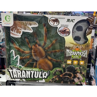 แมงมุมบังคับตัวใหญ่ไซต์จัมโบ้ TARANTULA REMOTE CONTROL [CWT WELCOMETOY]