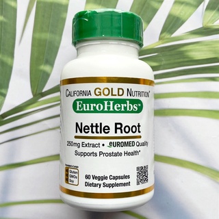 สารสกัดจากรากตำแย Nettle Root Extract Euro Herbs 250 mg 60 Veggie Capsules (California Gold Nutrition®) รากเน็ทเทิ่ลสกัด