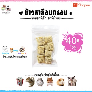 ข้าวสาลีอบกรอบ ขนมแฮมเตอร์ เเพรี่ด๊อก ชูการ์ กระรอก แฟตเทล ดอร์เมาท์