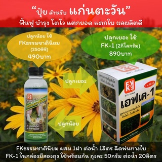 ปุ๋ยสำหรับแก่นตะวัน บำรุงแก่นตะวัน ใบงาม ดอกสวย ผลผลิตดี ปลูกเยอะใช้ FK-1 ปลูกน้อยใช้ FKธรรมชาตินิยม