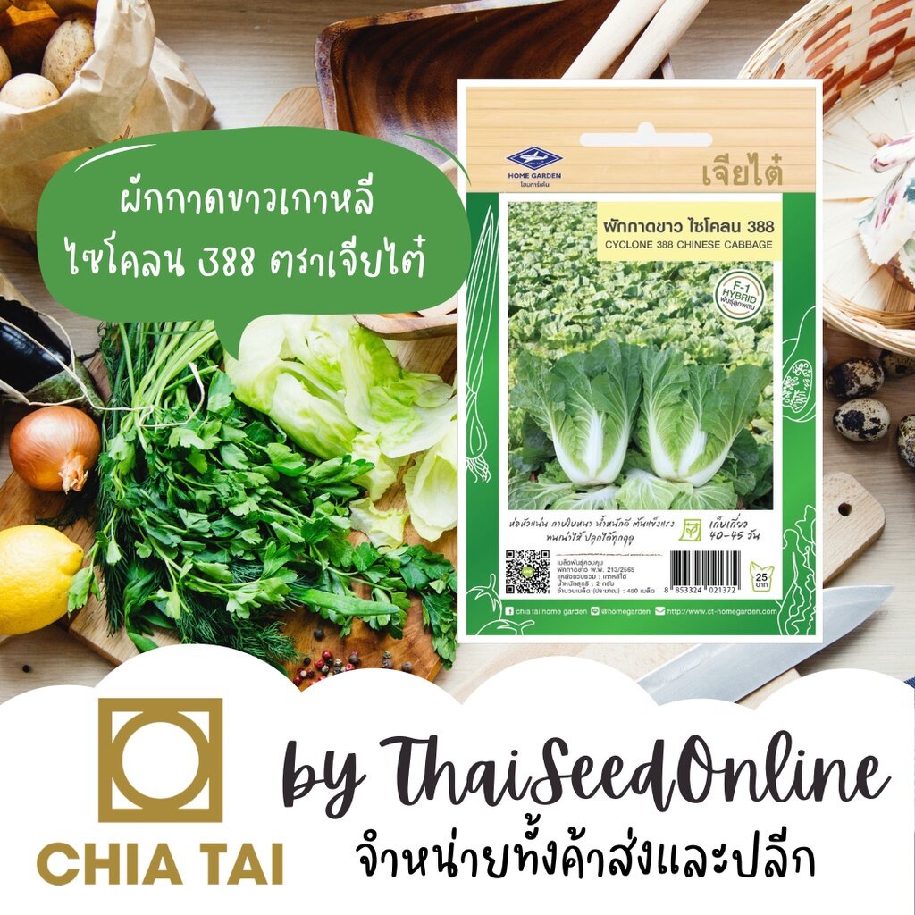 CTF1 เมล็ดพันธุ์ 🥬 ผักกาดขาวปลีเกาหลี ไซโคลน 388 จุ2กรัม ตราเจียไต๋ Chinese Cabbage