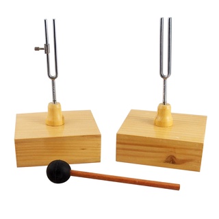 ชุดส้อมเสียง 2 ชุด พร้อมไม้เคาะ (Resonance Box with Tuning Fork 2 Sets and Hammer)