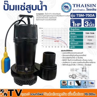 THAISIN ปั๊มแช่สูบน้ำ ระบบลูกลอย 750W 1HP ท่อน้ำขนาด 3นิ้ว body ปั๊มทำจากเหล็กหล่อ รุ่น TSM-750A แข็งแรง คงทน