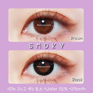 🌈Smoky-Brown•Black☆สายตา 00-1000☆รายเดือน