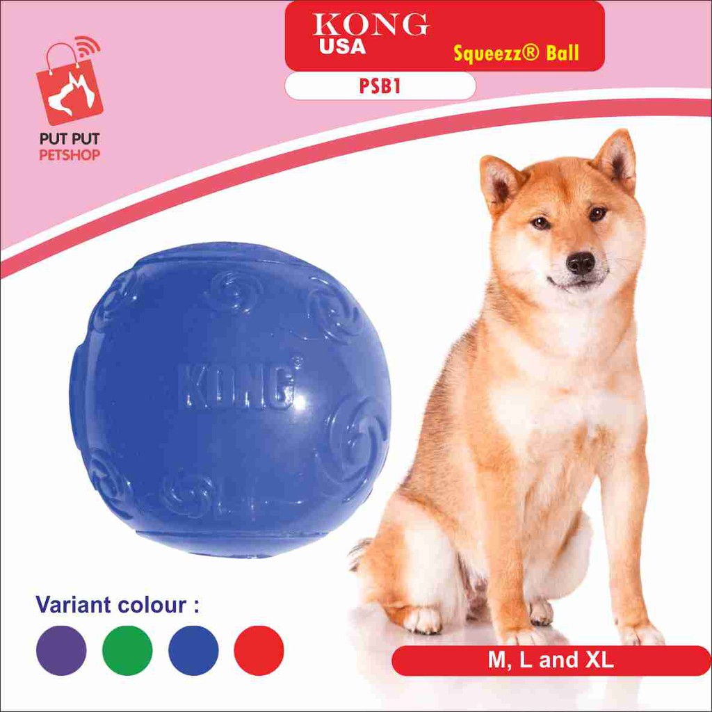 KONG Squeakz Ball ของเล่นสุนัข