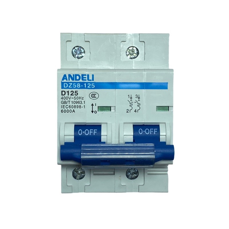 DZ58-125-125 2P Circuit Breaker 400V 125A