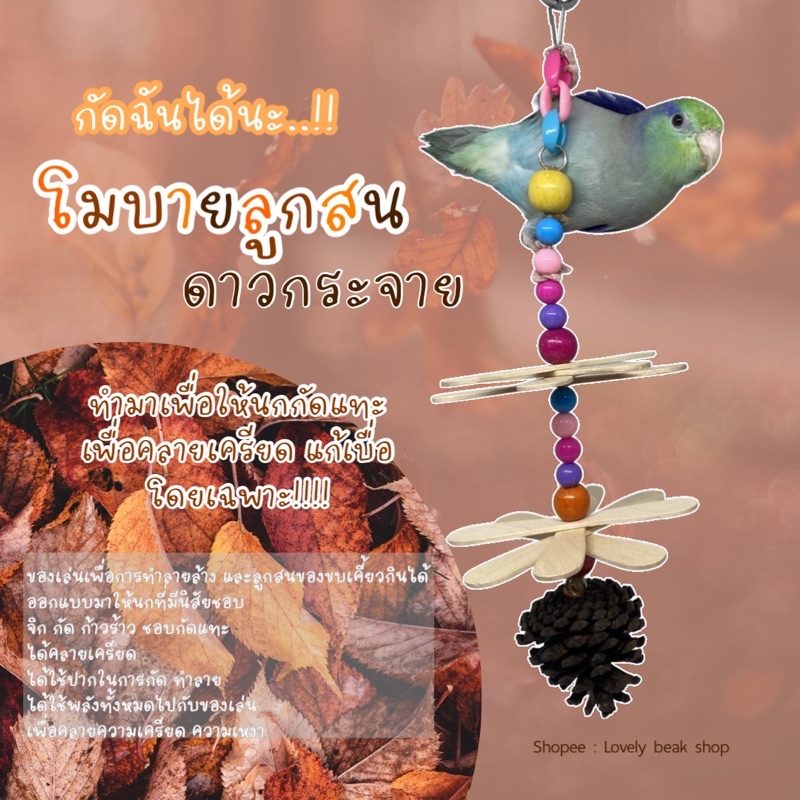 ของเล่นนกแก้วกัดแทะ โมบายลูกสนดาวกระจาย โมบายลูกสน+ไม้ไอติม ของเล่นนกสำหรับกัดแทะ ตกแต่งกรงนก ของเล่นนกเล็ก ฟอพัส