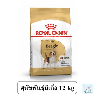 Royal Canin Beagle Adult(12 kg.) อาหารสุนัขบีเกิ้ล 10 เดือนขึ้นไป 12 กิโลกรัม