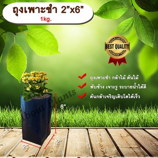 ถุงเพาะชำ 2”x6” 1 kg. ถุงเพาะชำสีดำ ถุงเพาะชำกล้าไม้ ต้นไม้ ถุงดำ allaboutplants