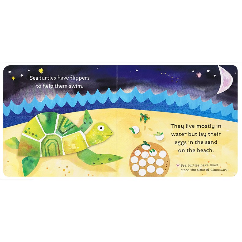 *พร้อมส่ง* ✅ Hello, World! Ocean Life หนังสือเด็กภาษาอังกฤษ หนังสือเสริมพัฒนาการ นิทานภาษาอังกฤษ ราคา ถูกที่สุด ดีลบีเคเค แกลเลอรีภาพที่ 7