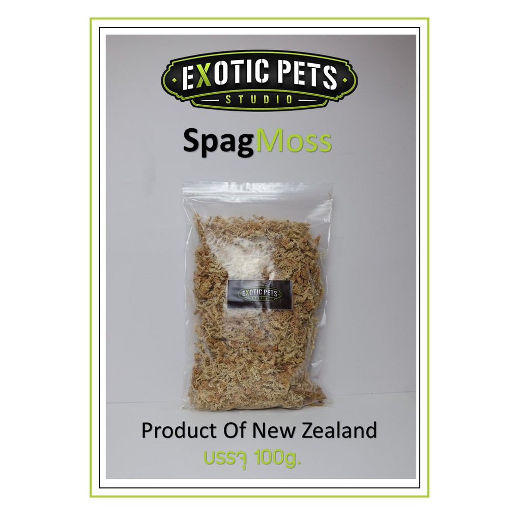 Spagmoss Sphagnum Moss New Zealand สแฟกนั่มมอส นำเข้าจากนิวซีแลนด์ - รูปที่ 4