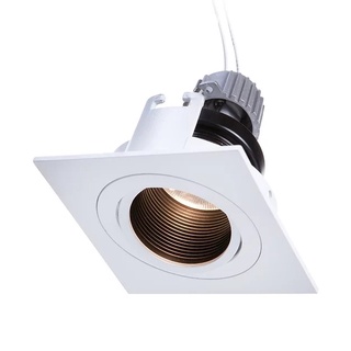 โคมไฟดาวไลท์สี่เหลี่ยมฝังฝ้า ปรับมุมได้ (โคมเปล่า) Recessed adjustable downlight