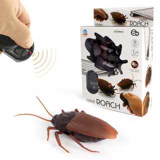 GIANT ROACH แมลงสาบยักษ์ บังคับด้วยรีโมท เป็นของเล่นสัตว์เลี้ยง หรือ ของเล่นเด็ก