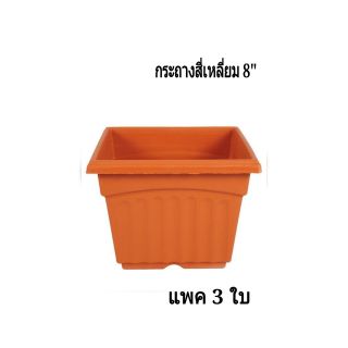 กระถางปลูกต้นไม้ขนาด 8" แพ็ค 3 ใบ กระถางเพาะปลูก (ใบใหญ่หนา เกรด A)