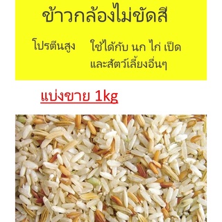 ข้าวกล้องไม่ขัดสี สำหรับไก่ ไก่ชน นกพิราบ นกเขา หนูต่างๆ (แบ่งขาย 1กิโล)