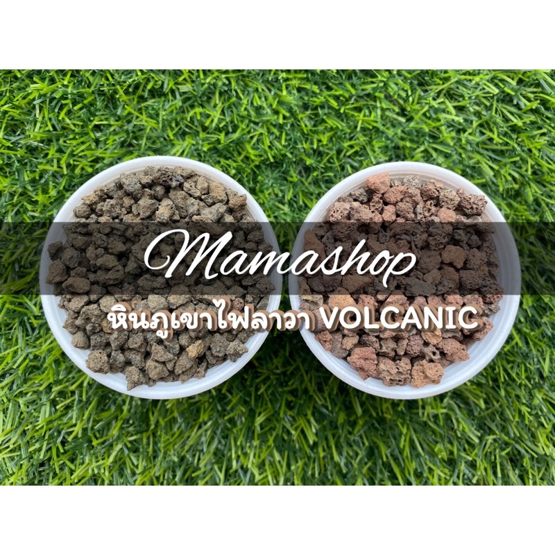 หินภูเขาไฟดำ (Black Volcanic Rock)  หินภูเขาไฟแดง (Red Volcanic Rock)