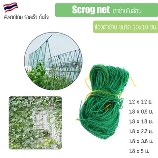 Scrog net ตาข่ายปลูกผัก ตาข่ายไม้เลื้อย ตาข่ายไนลอน ตาข่ายทำค้างผักเลื้อย เน็ตตาข่าย ตาข่ายHDPE ตาข่ายไนล่อน LST Trellis