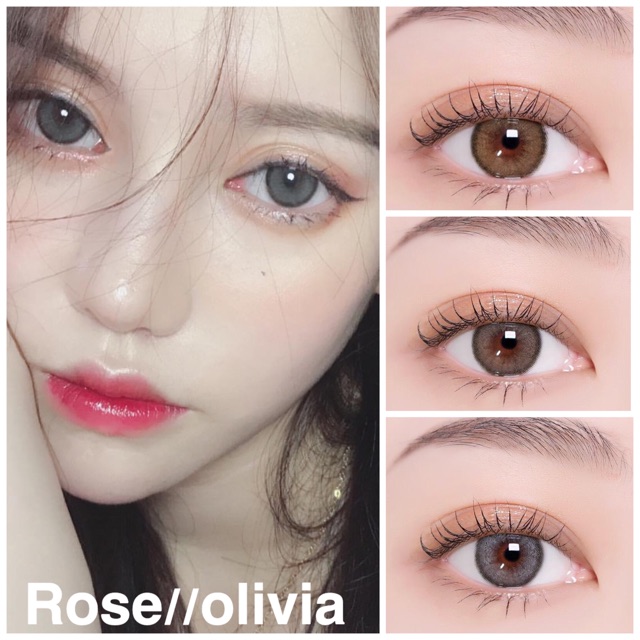 คอนแทคเลนส์เกาหลี สวยๆ✨Rose (gray&brown)