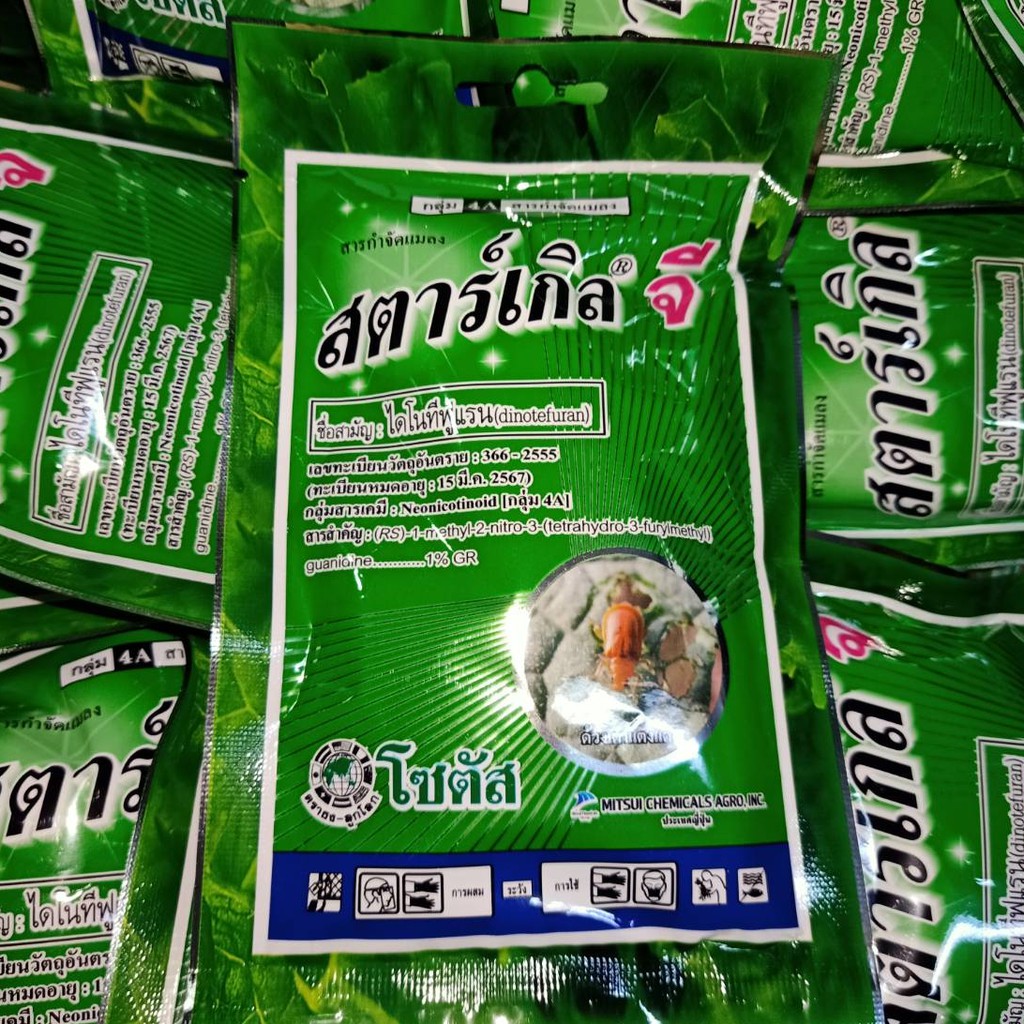 สตาร์เกิ้ลจี 50 100 250กรัม (พร้อมส่ง) เคลียสต็อกล็อตผลิต10/64