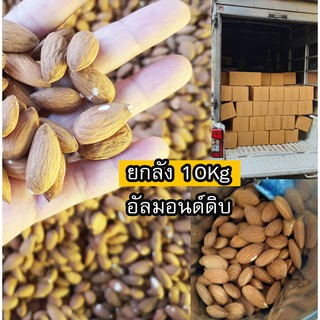 [ยกลัง] ALMOND อัลมอนด์ดิบ -ยกลัง10Kg