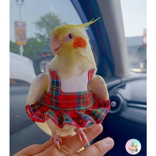 ชุดนก ชุดเอี้ยมวินเทจ