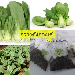 เมล็ดพันธุ์ผัก กวางตุ้งฮ่องเต้ 300-400เมล็ด Hongtae Pok Choy