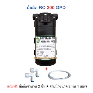 ปั้มอัด RO 300 GPD (เฉพาะตัวปั้ม)