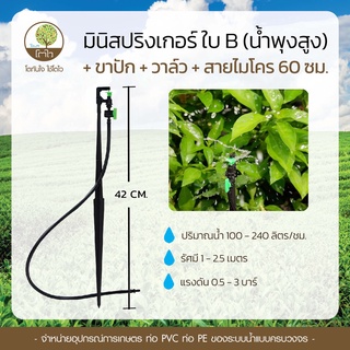 มินิสปริงเกอร์ แบบน้ำพุ่งสูง ใบB+ขาปัก+วาล์ว - โตไว