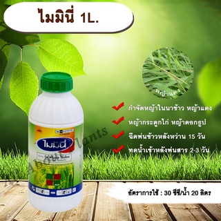 ไมมินี่ 1L. บิสไพริแบกโซเดียม สารกำจัดวัชพืช หญ้า ในนาข้าว กำจัดหญ้าแดง หญ้ากระดูกไก่ หญ้าดอกธูป
