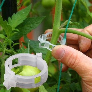 LUCKY~Plastic/Plant Vine Clips Tomato Plant Support-Clips For Trellis ​Convenient 100x#Ready Stock