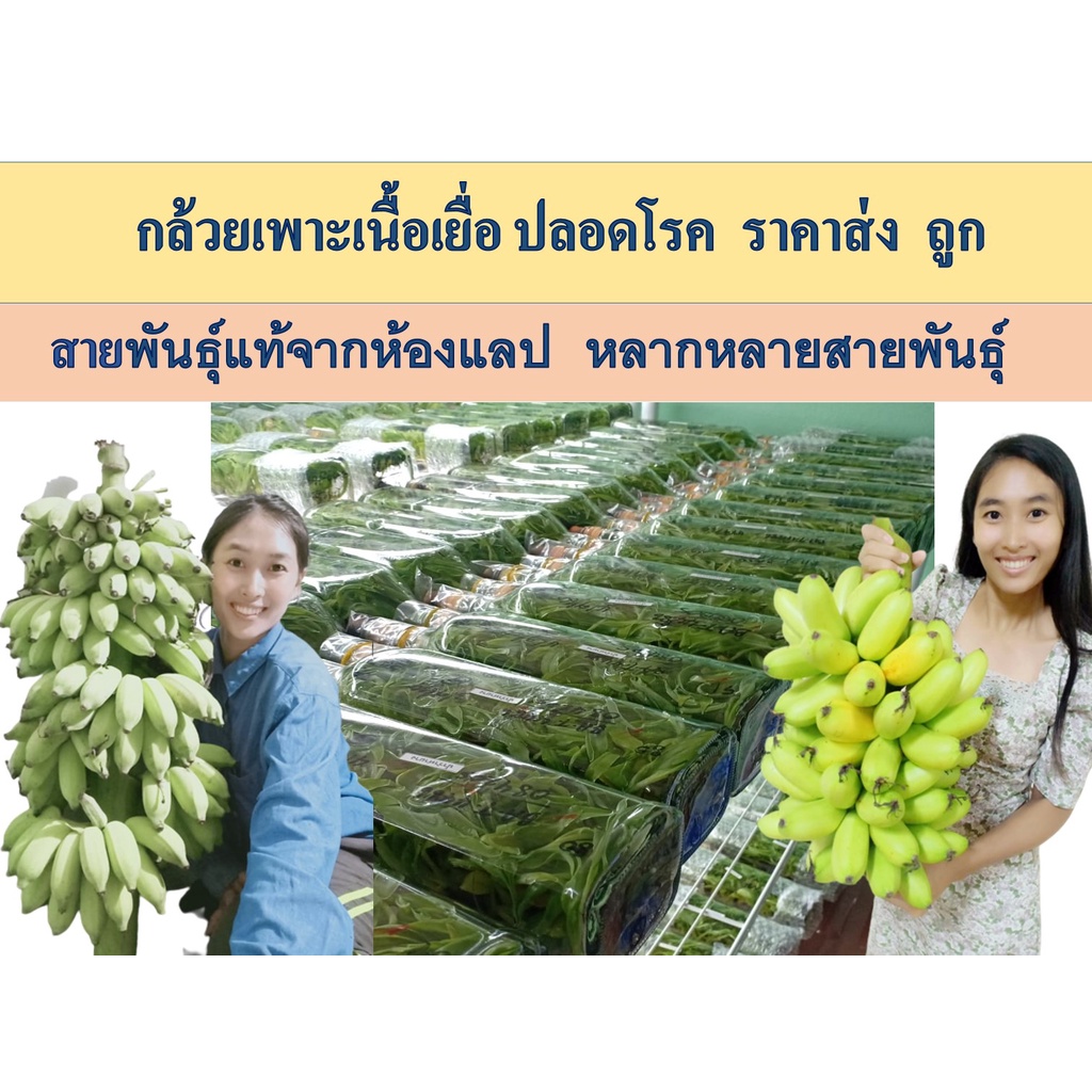 My Image 16