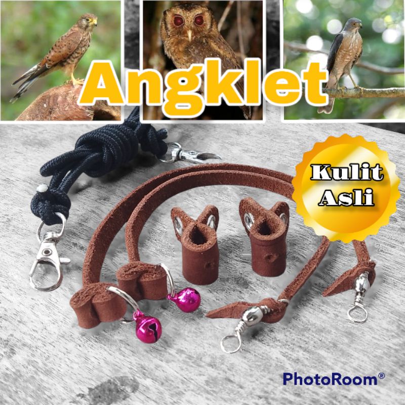 Angklet alap Kestrel/Kastrel, Kabit, และนกฮูก celepuk