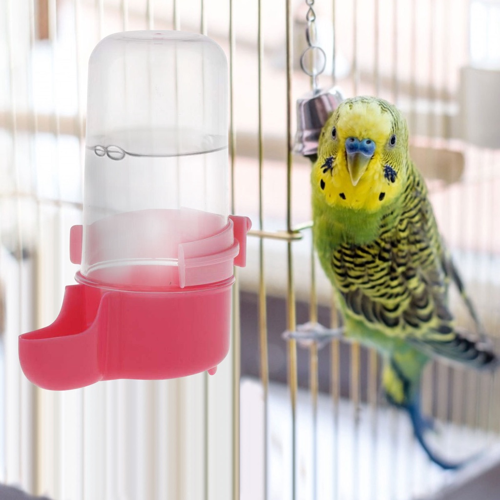 All About Pet ที่ให้อาหารนก ที่ให้น้ำนก หลอดให้น้ำ ที่ป้อนอาหารนก ขวดน้ำนกแก้ว เหมาะสำหรับนก คละสี