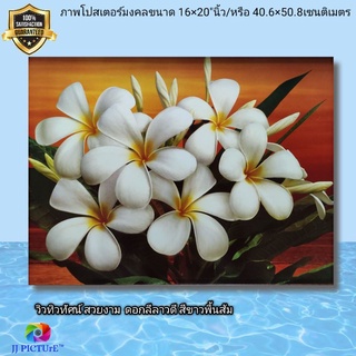 ภาพโปสเตอร์ดอกลีลาวดี สีขาวพื้นส้ม  ขนาด 16×20"นิ้ว