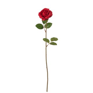 กุหลาบวาเลนไทน์ กุหลาบอิเกีย IKEA rose ดอกไม้วาเลนไทน์