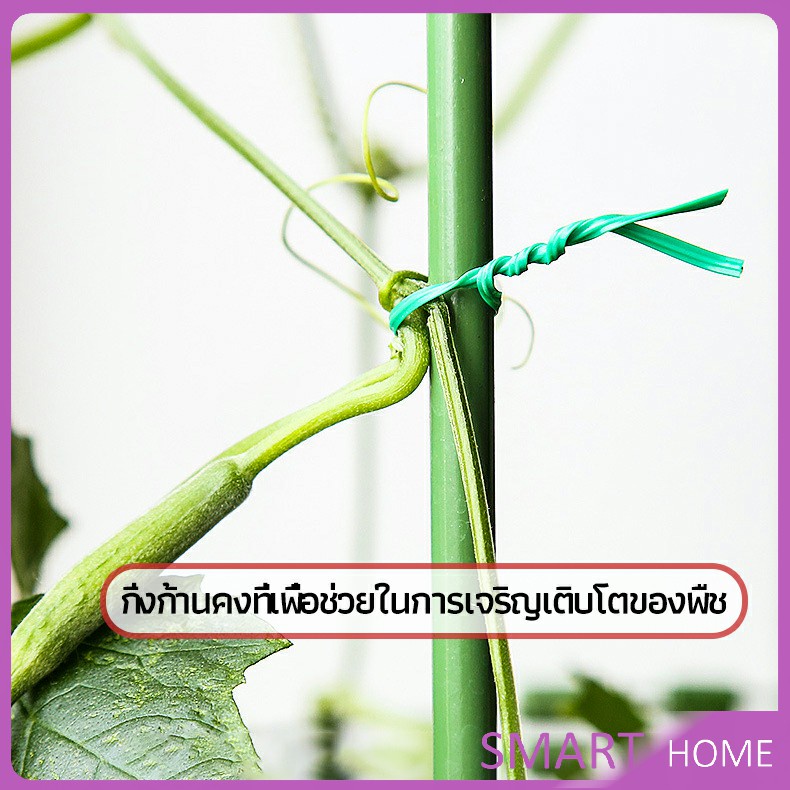 SMART ลวดรัดต้นไม้ ลวดดัดกิ่ง เนคไททำสวน ลวดมัดสายไฟ ลวดอเนกประสงค์ gardening tie - รูปที่ 2