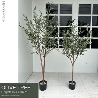 Olive tree- Height 153-180 cm. ต้นมะกอก(ลำต้นทำจากไม้จริง)ต้นไม้ปลอมเกรดพรีเมี่ยมเพื่อการตกแต่ง ต้นไม้ประดิษฐ์ตกแต่งบ้าน