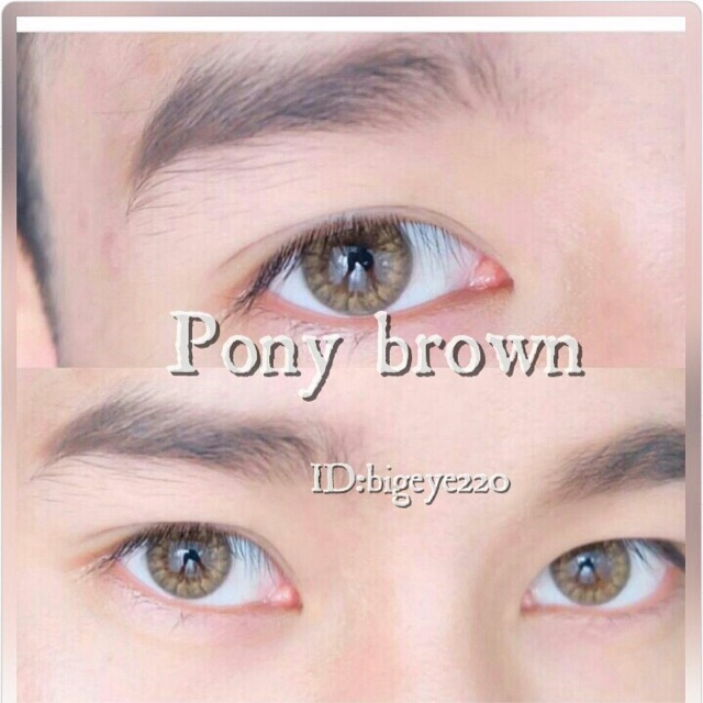 Pony /Pola  brown