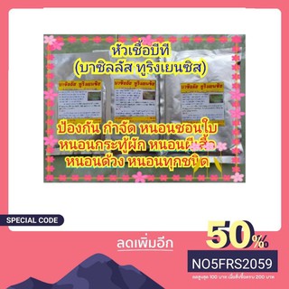 ชีวภัณฑ์ปลอดสารพิษ บาซิลลัส ทูริงเยนซิส (บีที, BT) ขนาด 100, 250 และ 500 กรัม แบคทีเรียกำจัดหนอนทุกชนิด (ขยายเชื้อได้)