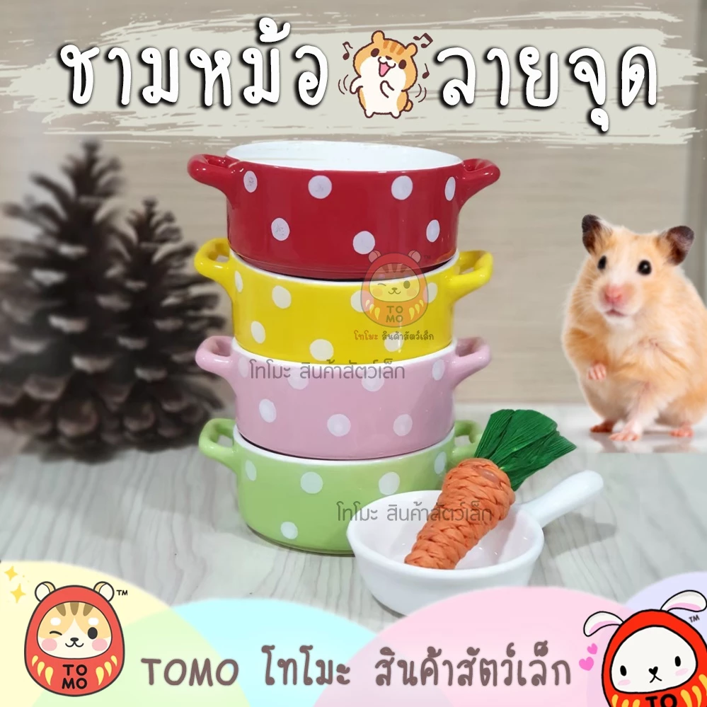 ร้านโทโมะ 💕 ชามหม้อ ลายจุด ถ้วยอาหาร เซรามิค ขนาดเล็ก สำหรับ แฮมสเตอร์ เจอร์บิล แรท กระรอก ชูการ์