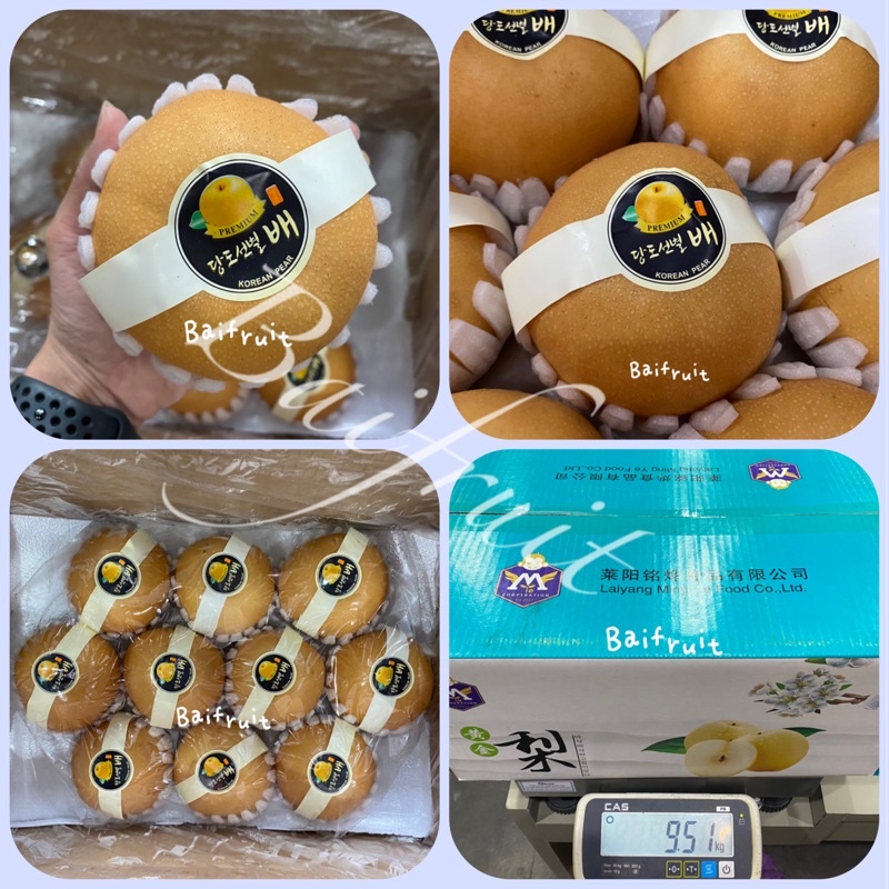 สาลี่หิมะ สายพันธุ์เกาหลี 18-20 ลูก By Baifruit