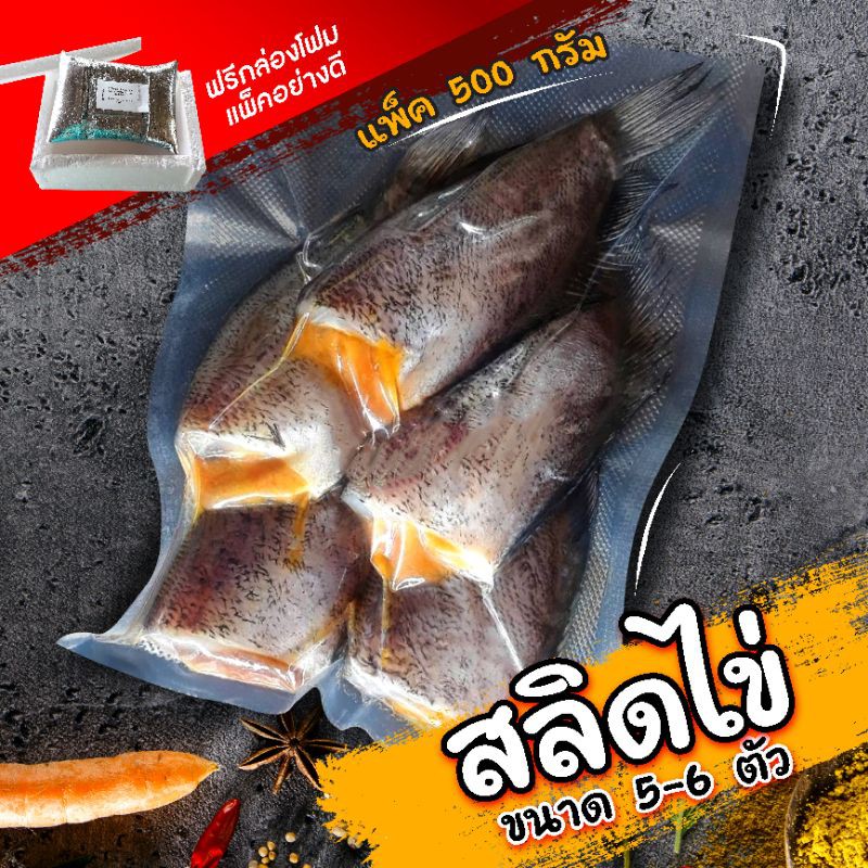 Best Seller, High Quality ปลาสลิดไข่ ฟรี!! ถุงเก็บความเย็น 130 บาท 5-6ตัว 500 กรัม สะอาด ปลอดสาร อาหารทะแลแห้ง ปลาแดดเดียวชนิดต่างๆ ปลาฉิงฉ้างตากแห้ง ปลาหมึกแห้ง ปลาสลิด สินค้าขายดีและมีคุณภาพสำหรับคุณ