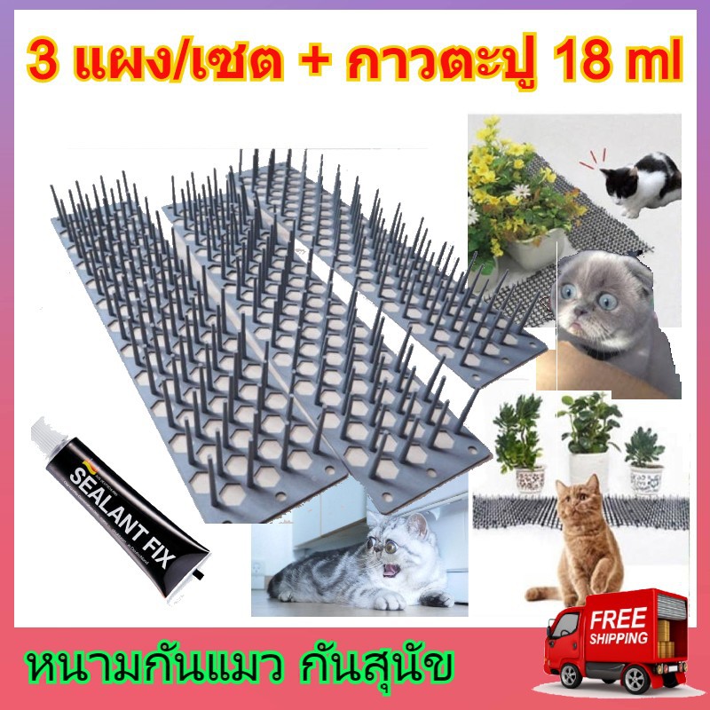 Anti Cat หนามกันแมว 3 ชิ้น/เซต + กาวตะปู Sealant Fix 18Ml 1 หลอด หนามแมว  ที่ไล่แมว ที่กันแมว หนามไล่แมว ไล่แมว แผงกันแมว | Shopee Thailand