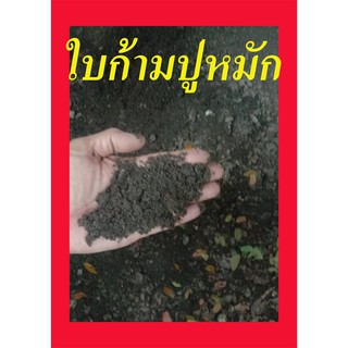 ใบก้ามปูหมัก มีธาตุอาหารพืชสูง 1.5 กิโลกรัม  มีของแถมฟรี