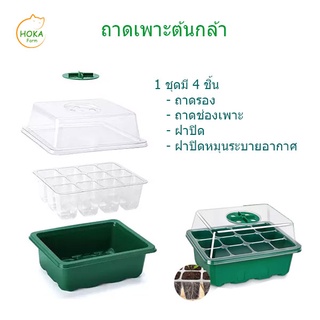 ถาดเพาะต้นกล้า 12 ช่องพร้อมฝาปิดแบบระบายอากาศ