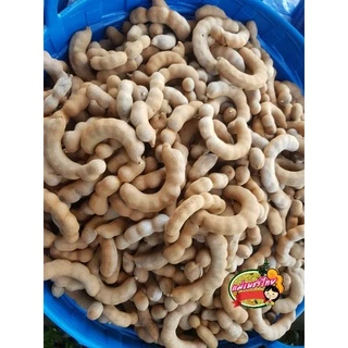 มะขามหวาน(พันธุ์สีทอง) หวานกินได้ทุกฝัก แกะเปลือก 500 กรัม