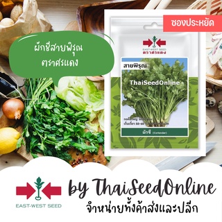 VP3 ซฟ เมล็ดพันธุ์ ผักชี สายพิรุณ 400เมล็ด ตราศรแดง ซอง 10บาท Coriander