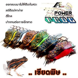 กบยาง กบพิษ  Power frog