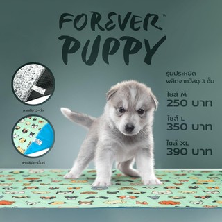 แผ่นรองฉี่สุนัข ซักเครื่องได้ FOREVER PUPPY Pee Pad (M-XL)